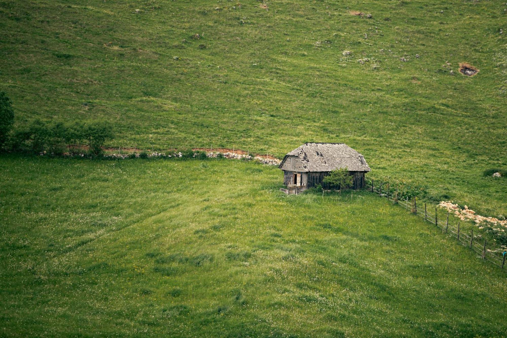 The Barn Villa Şirnea Eksteriør bilde
