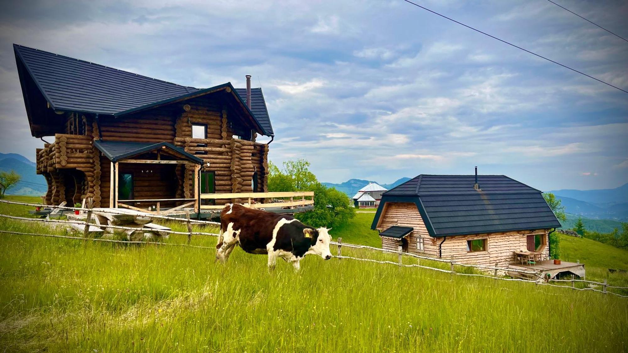 The Barn Villa Şirnea Eksteriør bilde