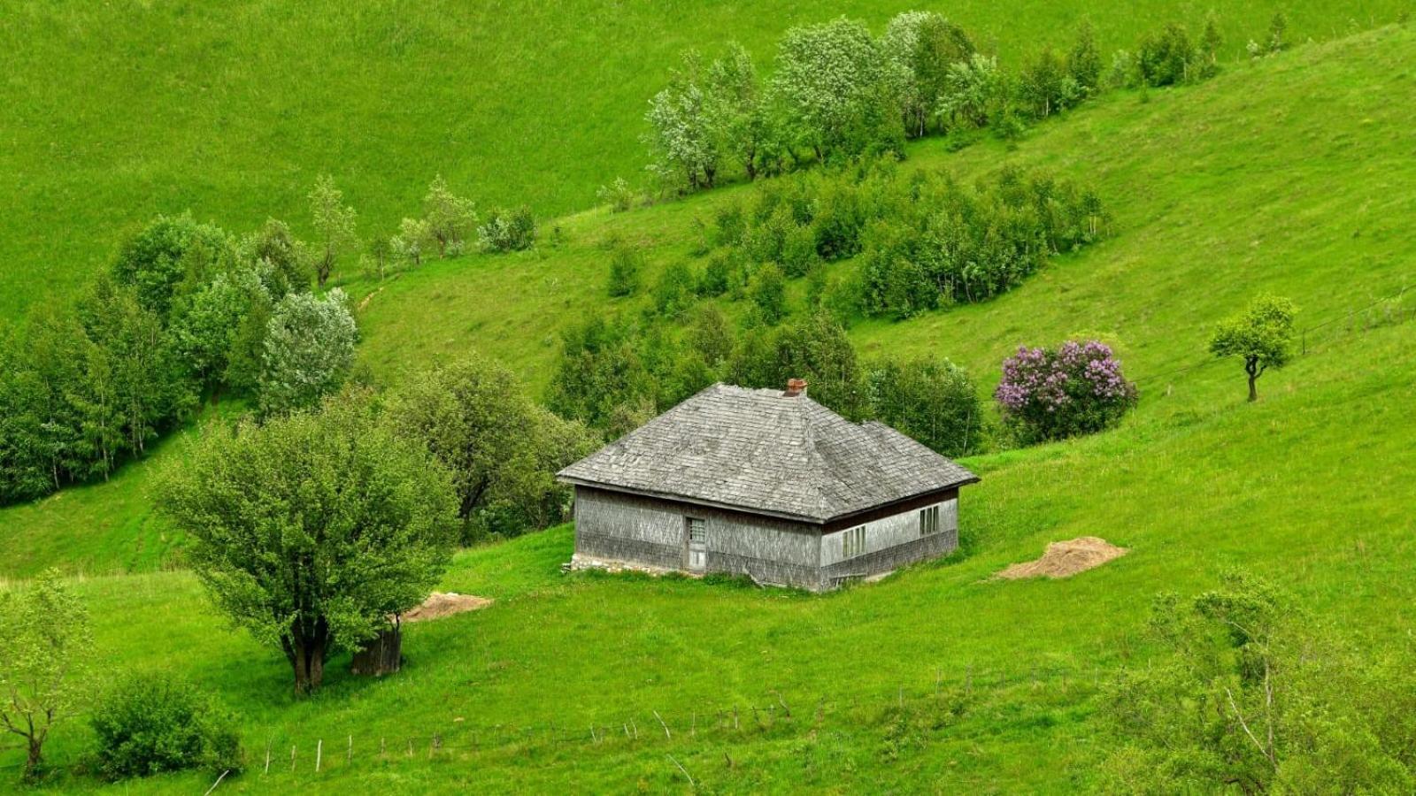 The Barn Villa Şirnea Eksteriør bilde