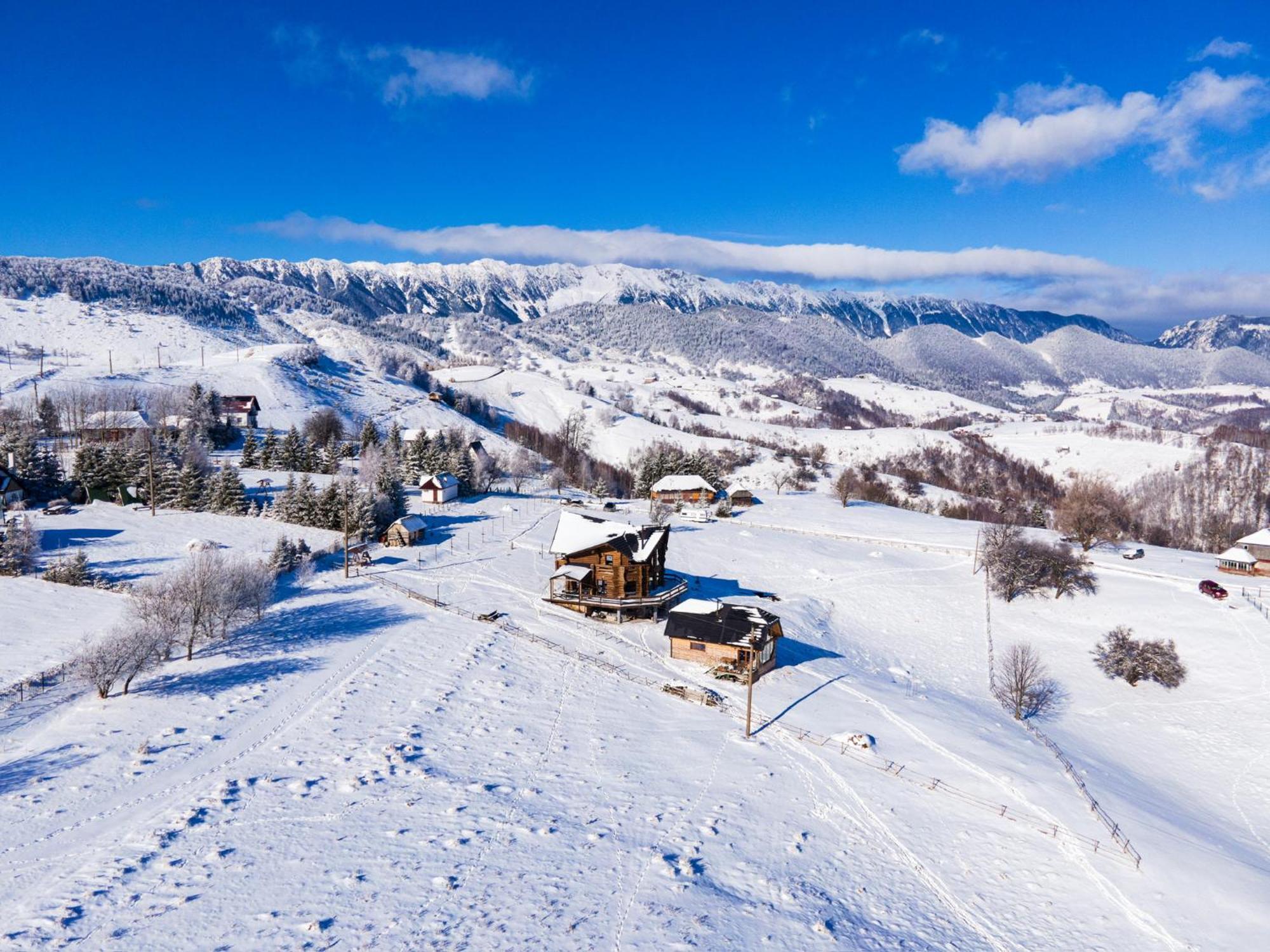 The Barn Villa Şirnea Eksteriør bilde