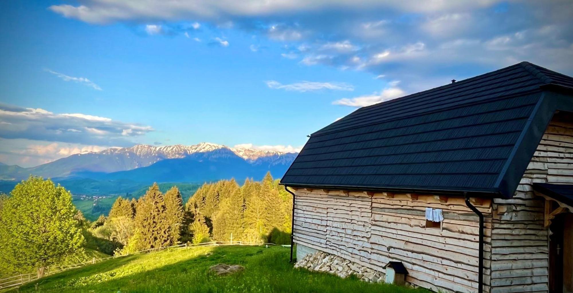 The Barn Villa Şirnea Eksteriør bilde